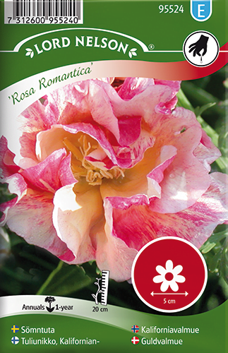 Kaliforniantuliunikko `Rosa Romantica`