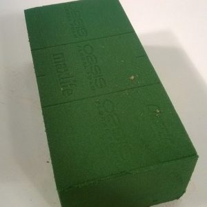 Leikkokukkasieni