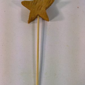 Kookostähtitikku
