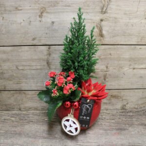 Jouluistutus keramiikkaruukussa, punainen