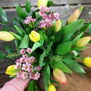 Kevättervehdys tulppaanista